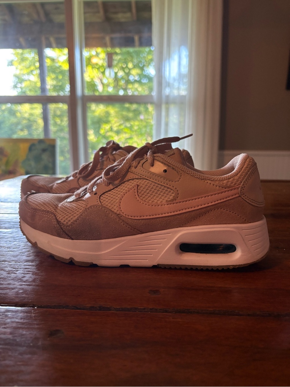 Nike Women's Pale Pink Mesh Sneakers